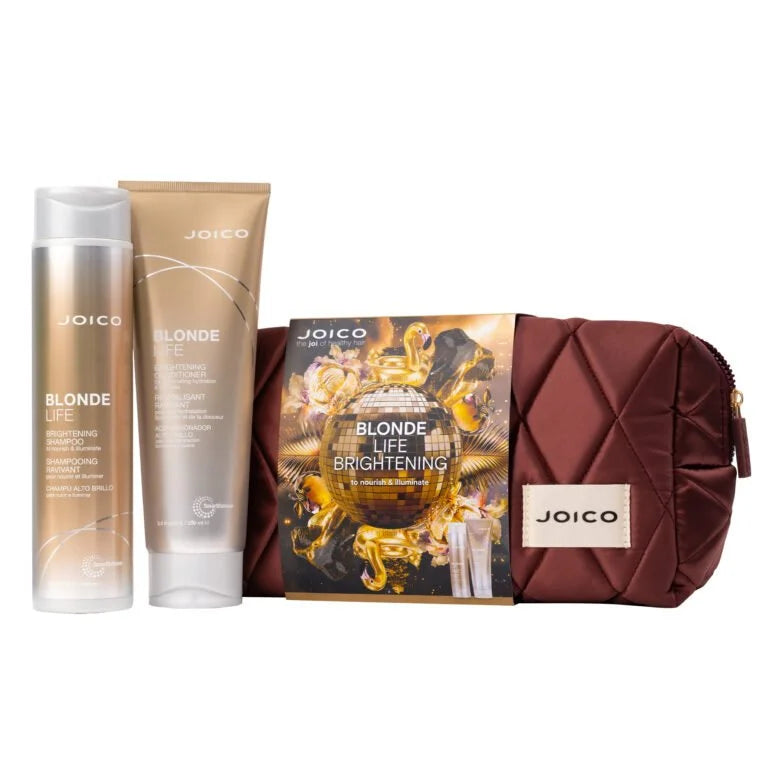 Joico Blonde Life Brightening Dreamscape Duo Holiday Kit