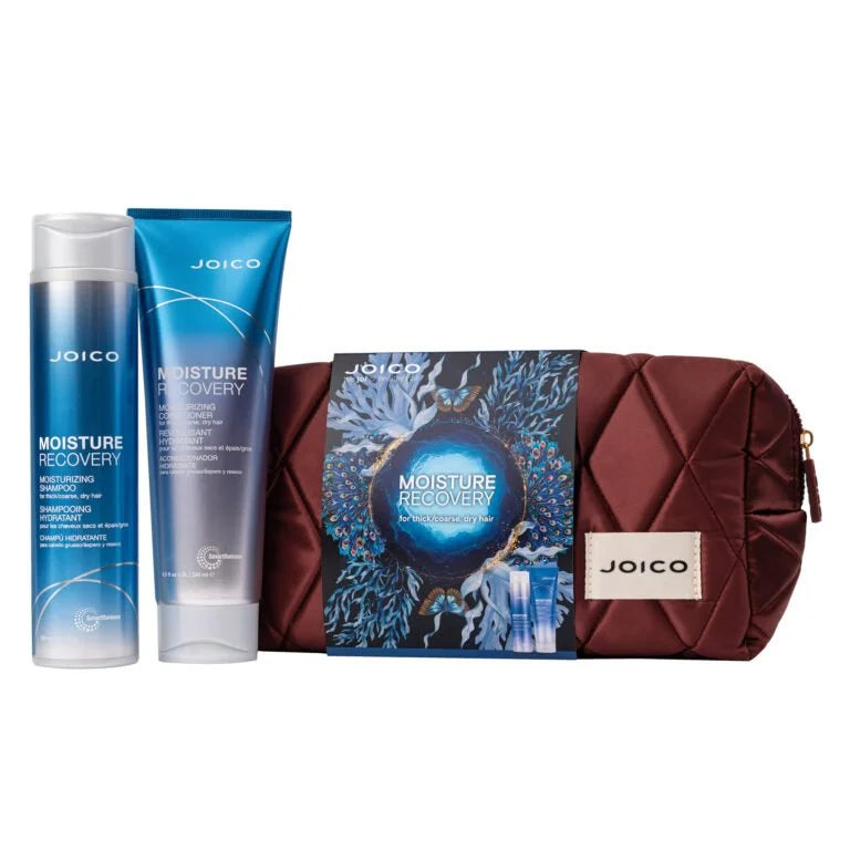 Joico Moisture Recovery Dreamscape Duo Holiday Kit